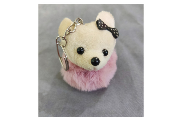 جا سوئیچی جا کلیدی موش