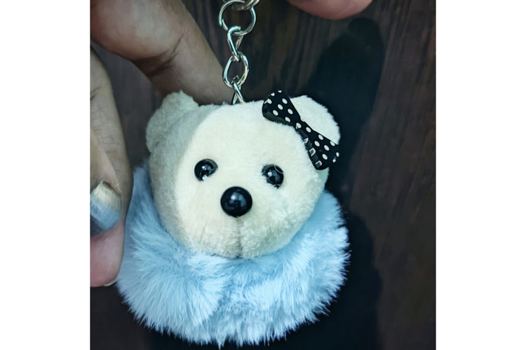 جاسوییچی موش پاپیونی