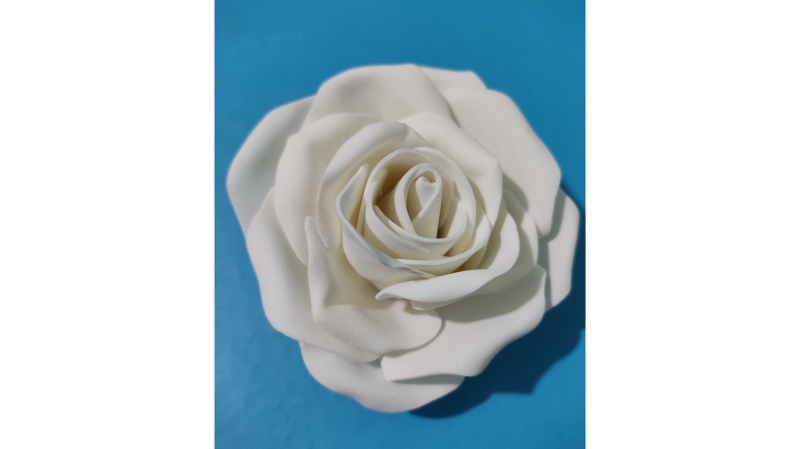 گل فومی سرگل رنگ سفید